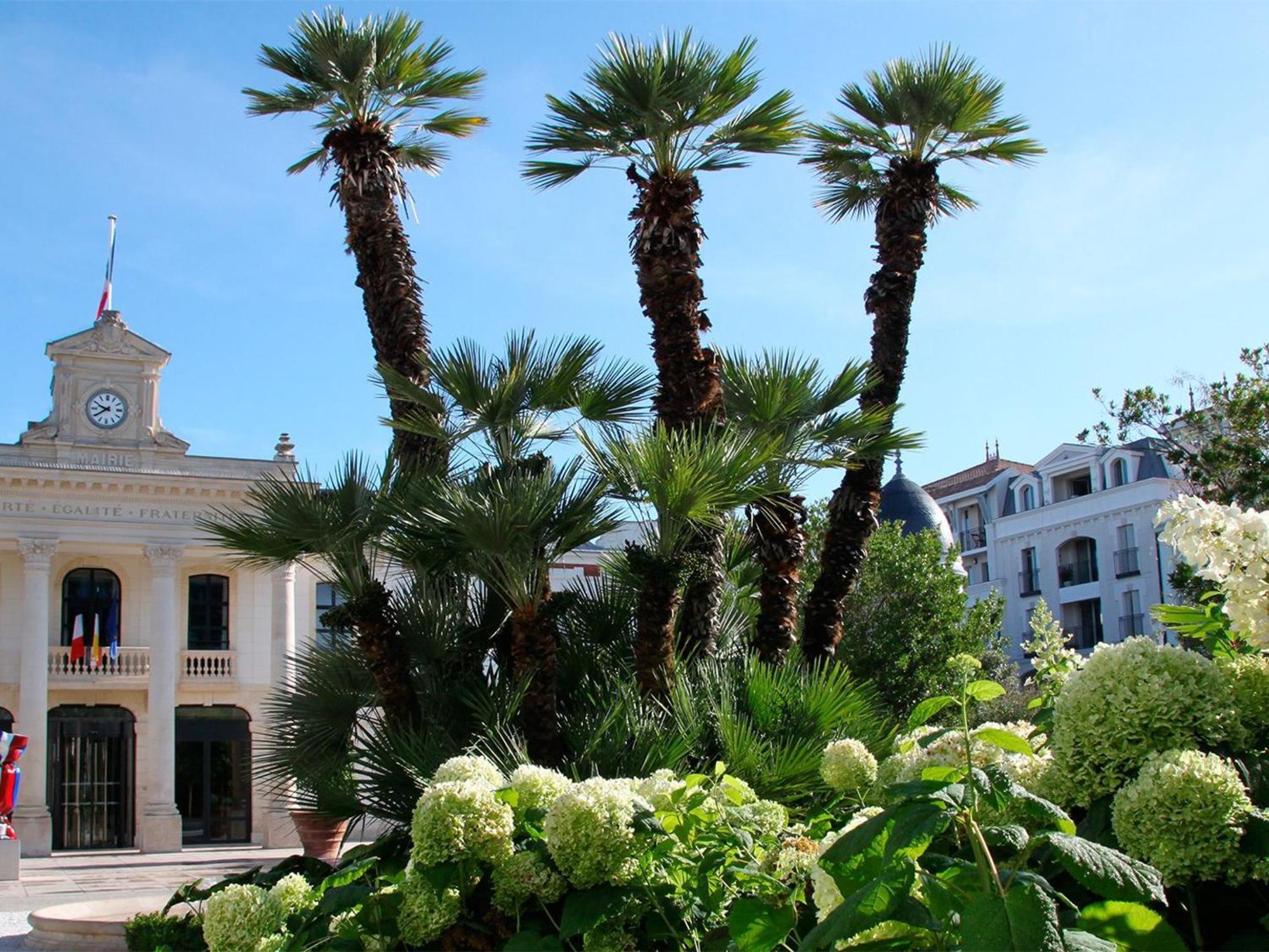 Appartement Proche Plage & Casino Avec Balcon Et Parking Prive, Arcachon - Fr-1-319-110 Dış mekan fotoğraf